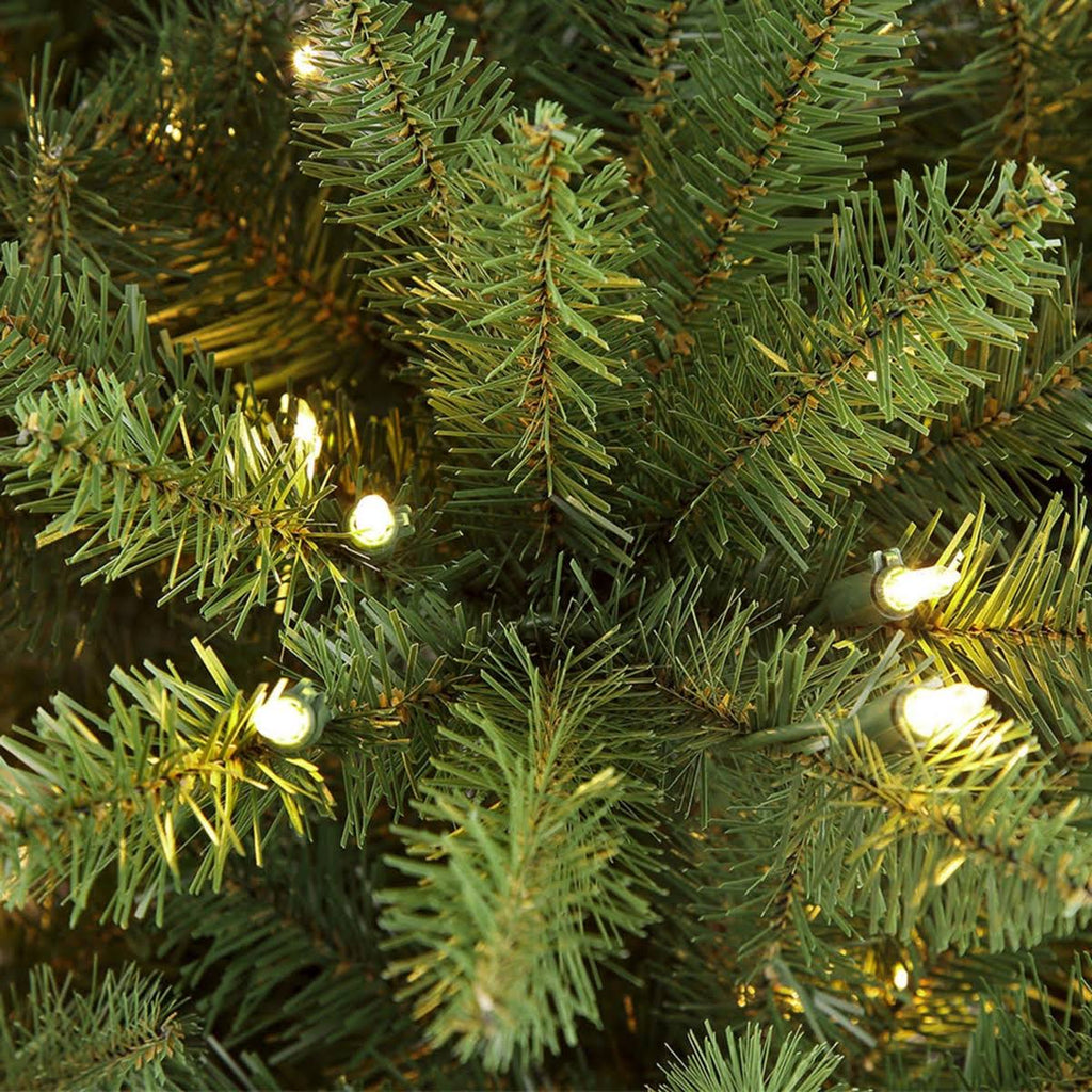 6.5& Pre-Lit Franklin Fir Tree M68413